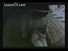 Asian little girls that enjoy having sex with beasts are favored by pigs.